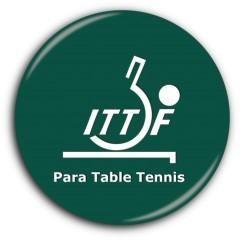 INTERNATIONAL TABLE TENNIS FEDERATION PARA TABLE TENNIS Technical Delegate report