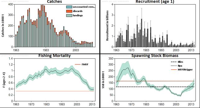 ICES Advice on fishing opportunities, catch, and effort Greater North Sea and Celtic Seas Ecoregions Published 30