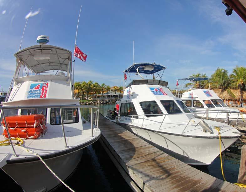 OCEAN ENCOUNTERS Dive Operation Make One Stop & Dive All of Curaçao! Welcome to Ocean Encounters Diving! Your One Stop Dive Shop.