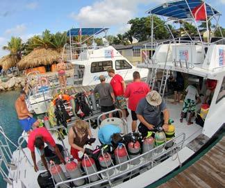 levels and a variety of snorkel trips. PADI and SSI courses from Discover Scuba to Professional level and specialties.