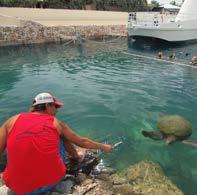 Great pro- Free entrance to the Sea Aquarium Park with Animal Encounters programs If you are an avid snorkeler or just ANIMAL enjoy to snorkel from time to time, you