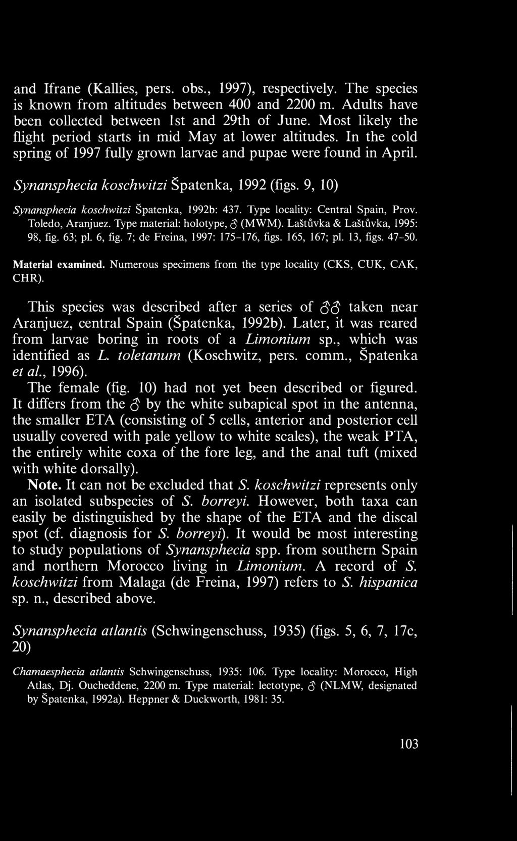 9, 10) Synansphecia koschwitzi Spatenka, 1992b: 437. Type locality: Central Spain, Prov. Toledo, Aranjuez. Type material: holotype, S (MWM). Lastûvka & Lastûvka, 1995: 98, fig. 63; pi. 6, fig.