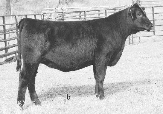 78 safe to SMA Upward Design 26 and estimated due early May 2016. Individual Production: 3 NR 98, 1 YR 103 Daughters sell as s 14 & 20.