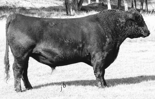 , WWR 100, 365 wt. 901 lbs., YWR 102 Dam s Production: 4 NR 99, 2 YR 105. She posts 1 REA 105 and sells as 26.