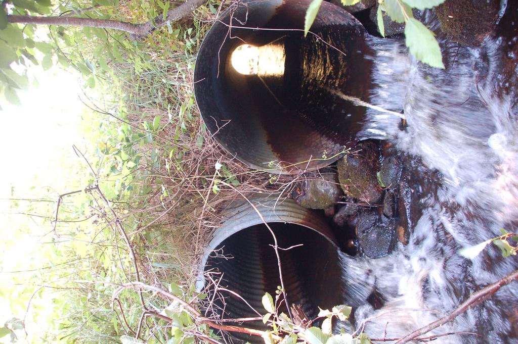 Culvert Problems Inlet or outlet drop (perch) Physical barriers Wood debris accumulation Excessive velocities Insufficient water depth