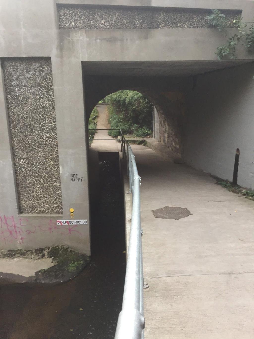 Using this underpass also requires cyclists to drop elevation only to gain that elevation again on the other side. We recommend that the designer investigate other options along here.