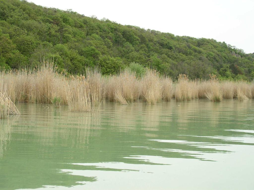 Reorganisation of Balaton Fishing Company Ecological management of Lake