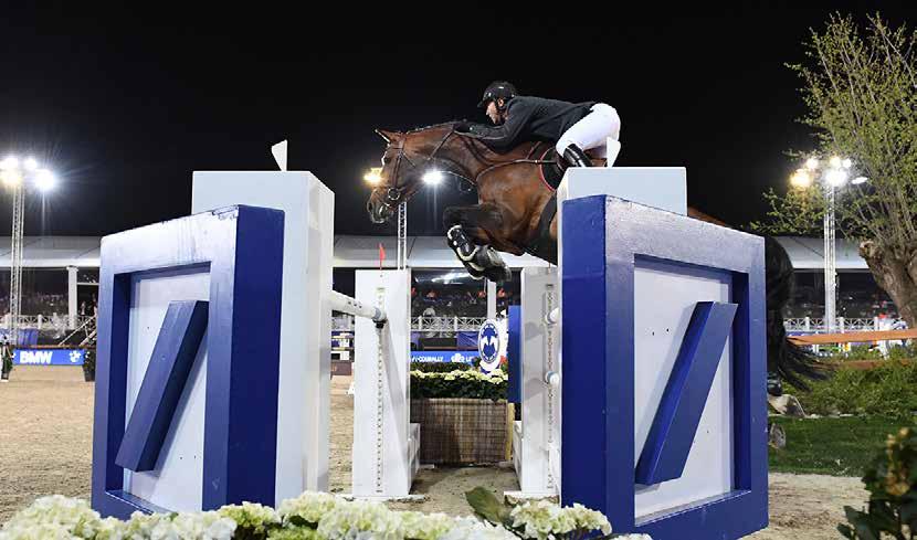 WAREGEM HORSE WEEK 2018 9 A PLATFORM FOR YOUR BRAND Over the last 9 years we have developed a top show jumping event in Antwerp characterised as follows: Our ambitions for Waregem Horse Week are the