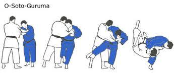Brown Belt Minimum Age for Yellow Belt is 14 Years All lower grading syllabus forms part of