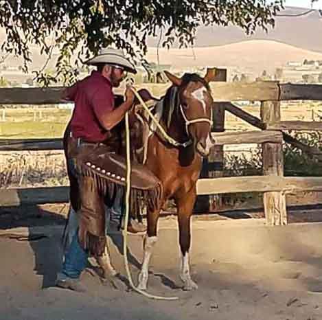 The trainer said she is so easy, good-minded, etc. she is going to make a really nice trail horse/kids horse/beginner horse.