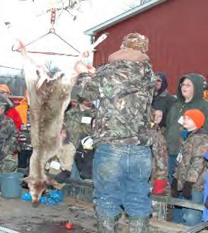 C Deer Processing: B Rabbit Processing: This session is instructed by 4-H Leaders with extensive knowledge in game animal processing.