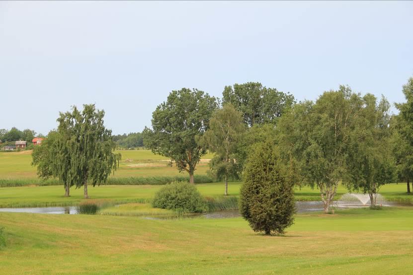 Golfers enjoy presence of water. Vision of biodiversity The environmental aspect seems also to be important for many of golfers.