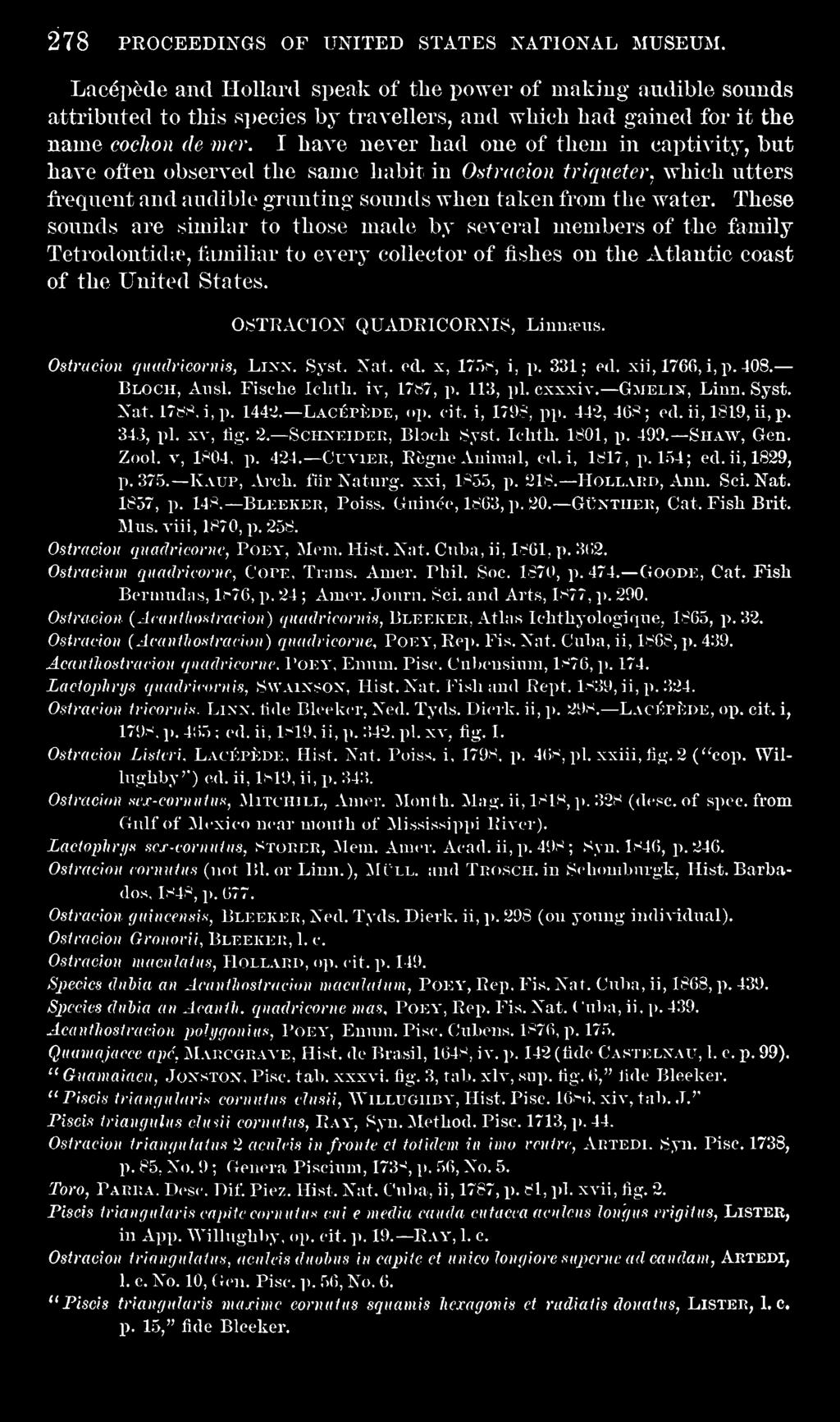 OSTEACION QUADEICORNIS, Liunteus. Ostracion quadricornis, Lixn. Syst. Nat. ed. s, 17r)8, i, p. 331; ed. xii, 1760, i,p. 408. Bloch, Aiisl. Fische Iclith. iv, 1787, p. 113, pi. cxxxiv. Gmelix, Linn.