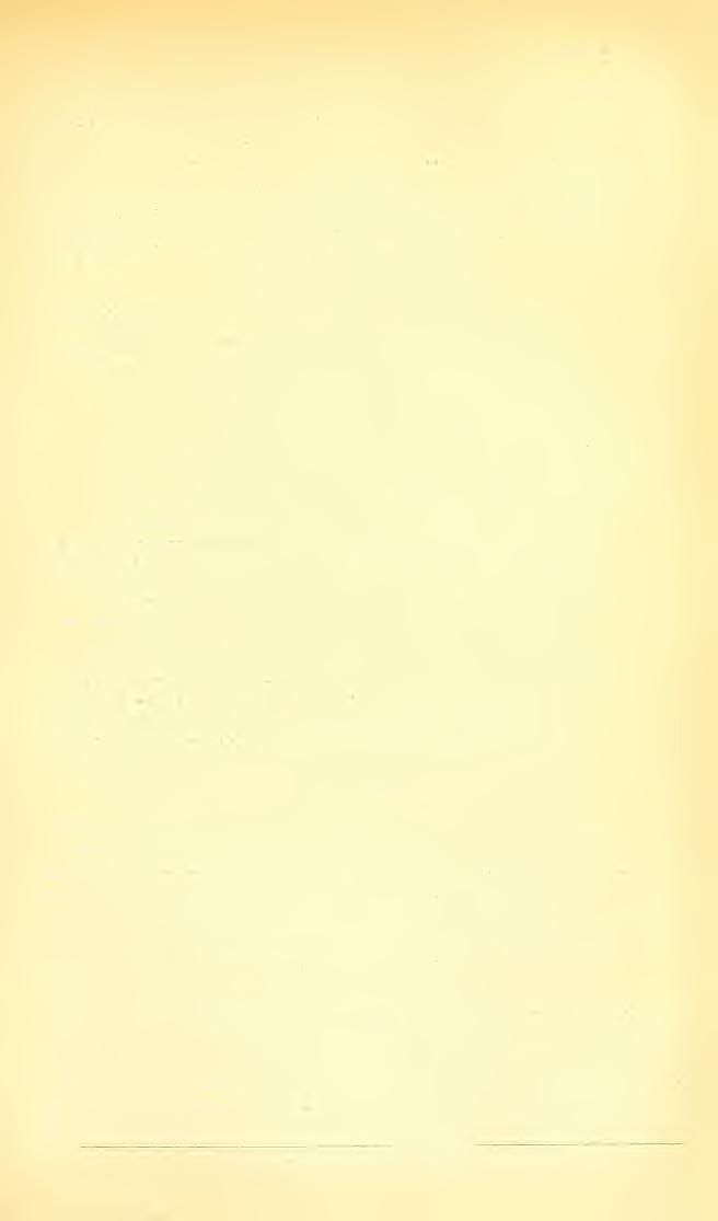PROCEEDINGS OF UNITED STATES NATIONAL MUSEUM. 281 OSTRACION QUADRICORNIS, LINN., subsp. notacanthus, (Blekker.) Ostradon notacanthus, Bleeker, Poiss. Guin^e, 1863, p. -21 (St. Helena); Ned. Tyds.