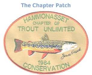 THE HAMMONASSET CHAPTER OF TROUT UNLIMITED OFFICERS AND DIRECTORS MONTH YEAR President: Vacant Vice President: Kevin Fuller 860-632-2171 kevinfuller27@comcast.