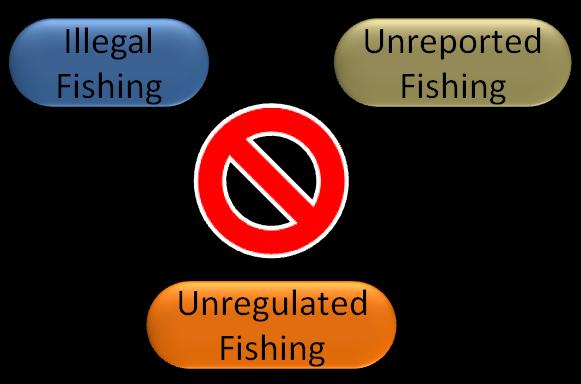 sharing and development on Illegal Unreported and Unregulated (IUU) Fishing in the Caribbean region.
