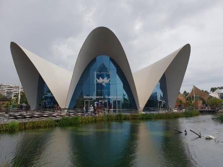 The delights of the Oceanarium and Science and Art Museum in Valencia, an