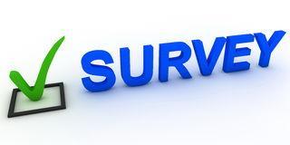 Online survey Main topics / groups 1. Socio-demographic characteristics (4-5 questions ) 2. Expected impacts / Effects of autonomous driving (e.g. expected impact on congestions, safety or others) (4-5 questions ) 3.