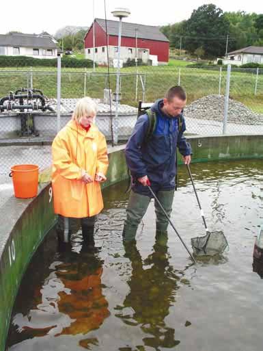 NINA Aquatic Research Station, Ims Types of research Research at Ims has provided essential knowledge for the national and international management of Atlantic salmon, as well as basic data to help