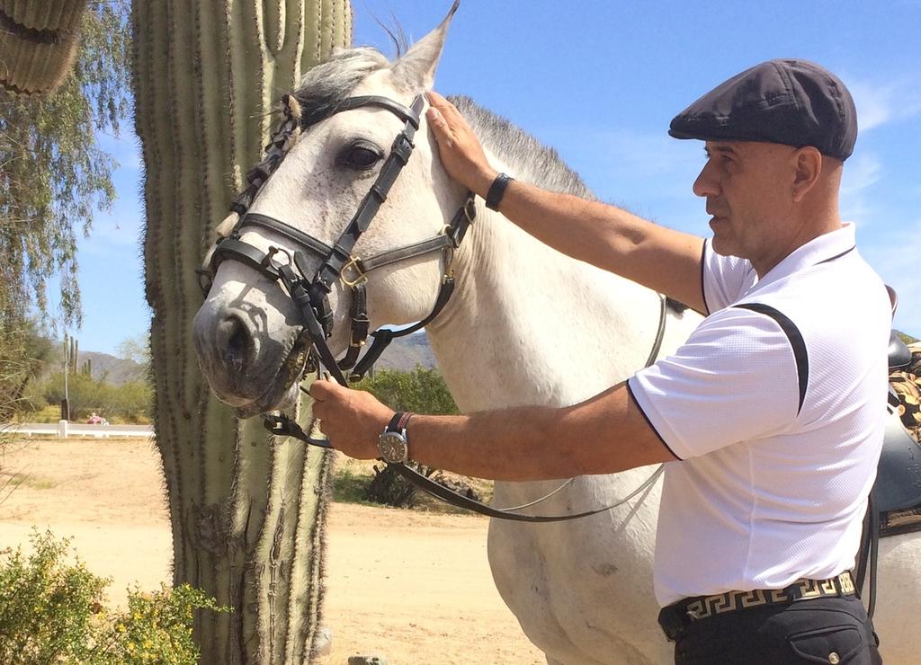 Classical Dressage and Myofacial Fusion to create the lightest horse possible.