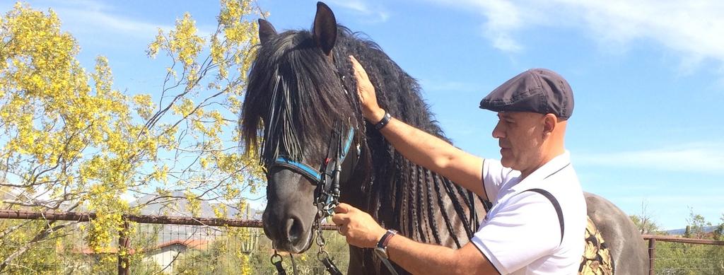 We wanted to know more so we interviewed Manuel about his new concept: LF: Where did this idea of fusing Classical dressage and