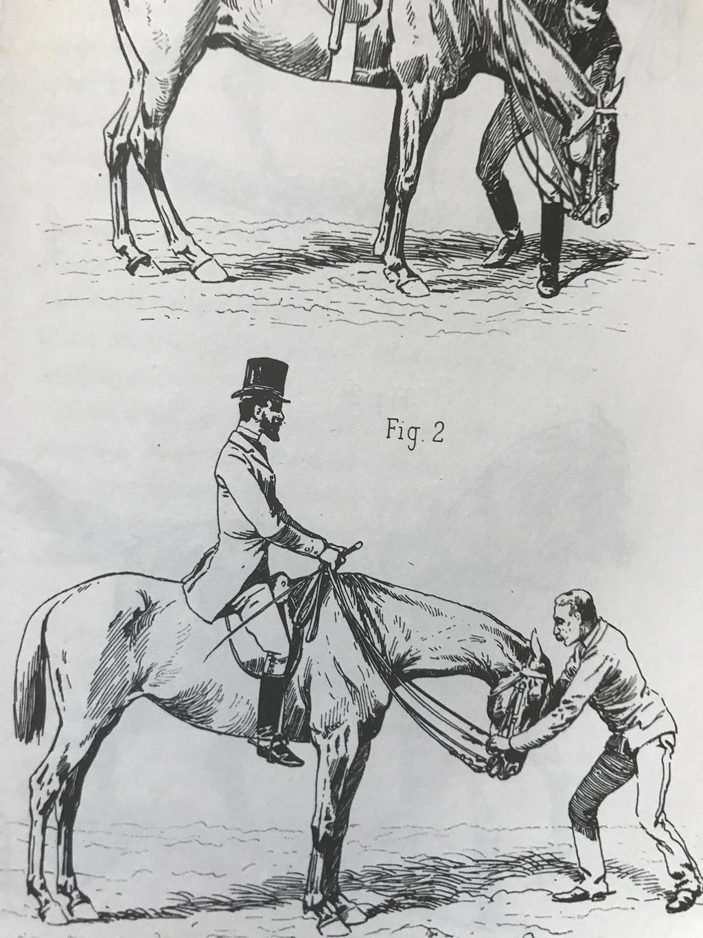 About 50 years later (1890) Jame Fillis in his book Principes de dressage et d equitation insisted in many pages of his book of the need of those flexions to have a horse flexible, loose, and