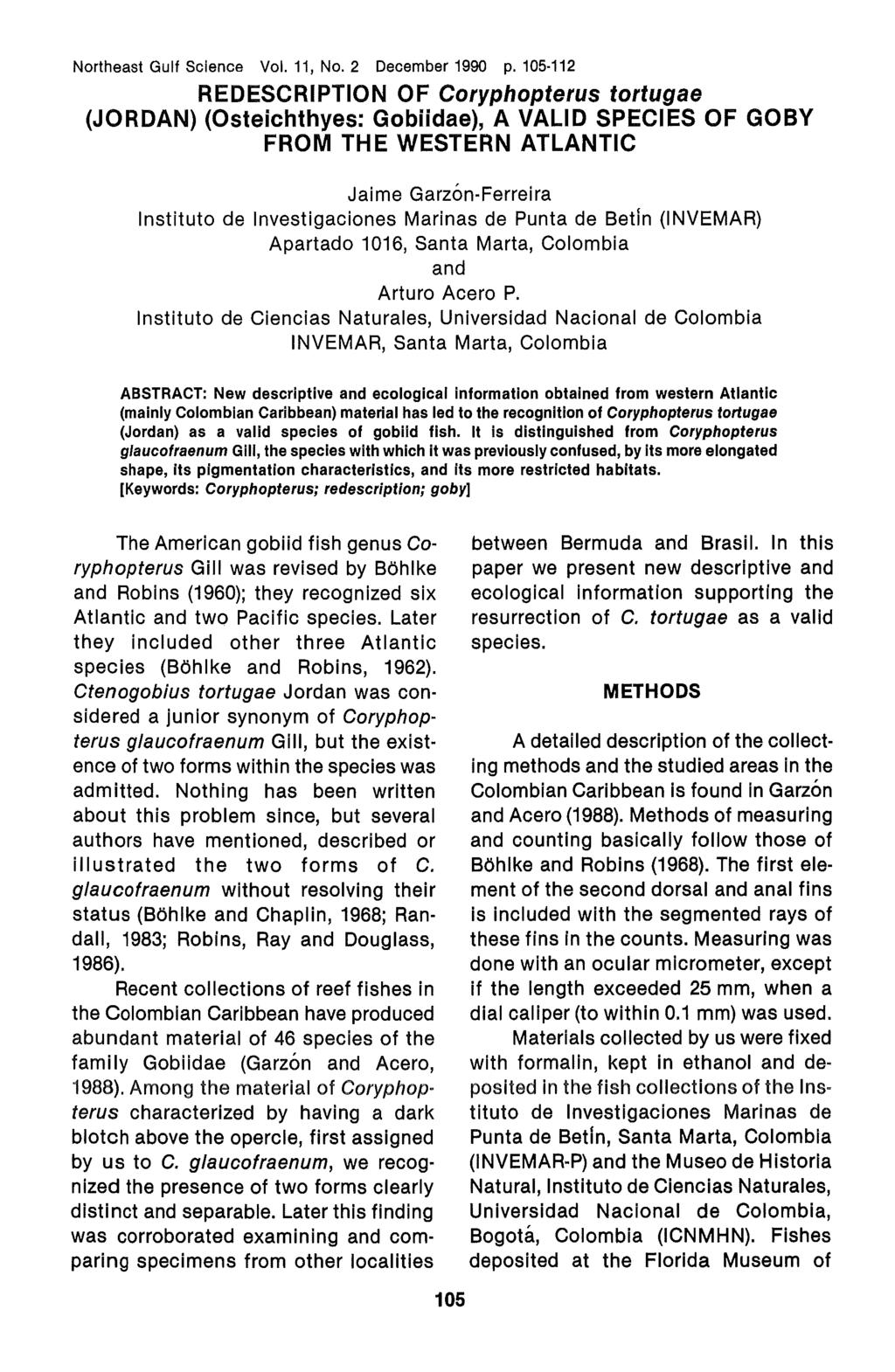 Garzón-Ferreira and Acero P.: Redescription of Coryphopterus tortugae (Jordan) (Osteichthyes: G Northeast Gulf Science Vol. 11, No.2 December 1990 p.