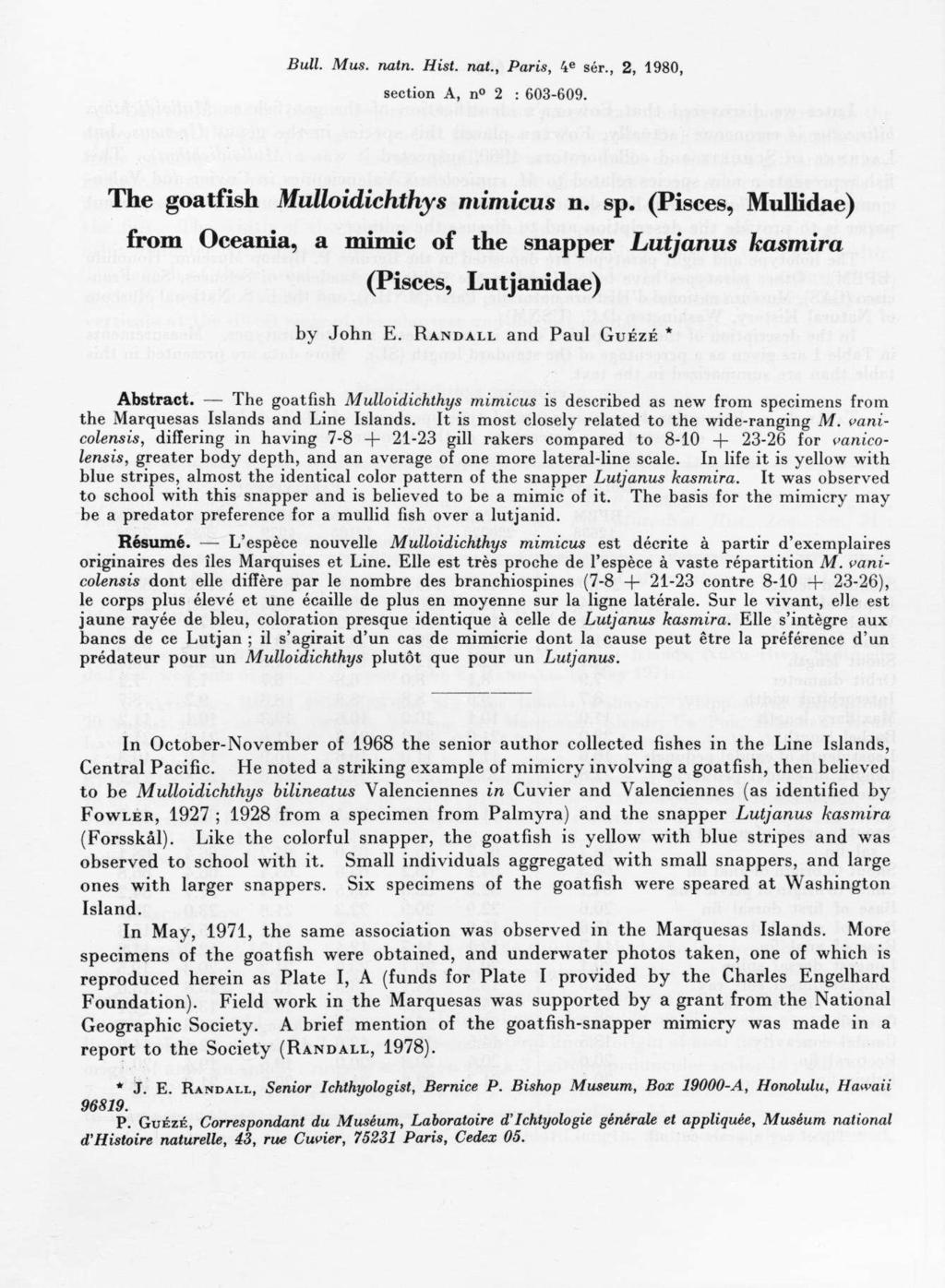 Bull. Mus. natn. Hist, nat., Paris, 4 e sér., 2, 1980, section A, n 2 : 603-609. The goatfish Mulloidichthys mimicus n. sp. (Pisces, Mullidae) by John E. RANDALL and Paul GUÉZÉ * Abstract.
