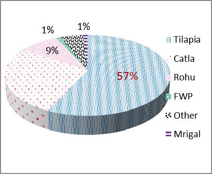 Monetary gains of stocking of fingerlings of Nile Tilapia, Catla and Rohu in both reservoirs and stocking of FWP in JW found to be very attractive. 4.