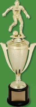 VANGUARD CUP SET SC14-12501X 12½ $15.