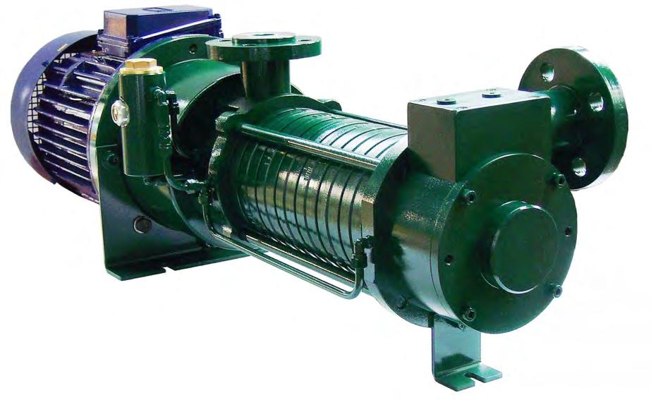 BGD NEW SELF-PRIMING PUMPS FOR LPG PATENTED An innovative