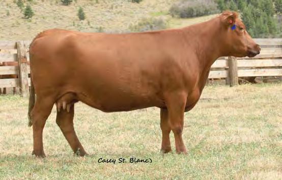 6 56 88 21 49 6 9 6 9 0.41-0.03 25 0.32 0.00 Bred to: LOOSLI RIGHT KIND 107 (#1432777) Due Date: 3/19/14 This is another good cow family behind X133. Dam has an ave. WR 104, granddam ave WR108.