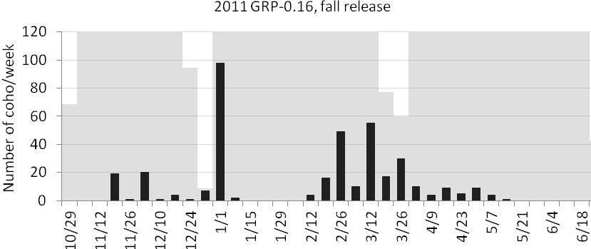 Migration timing of spring and fall release groups past a pair of antennas near the mouth of