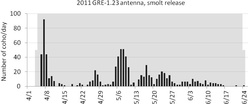 Smolt migration timing of spring, fall, and smolt release groups past a PIT antenna operated 1.