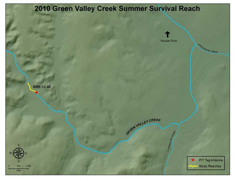 Figure 26. Summer survival reaches and antenna sites in Green Valley Creek, 21.