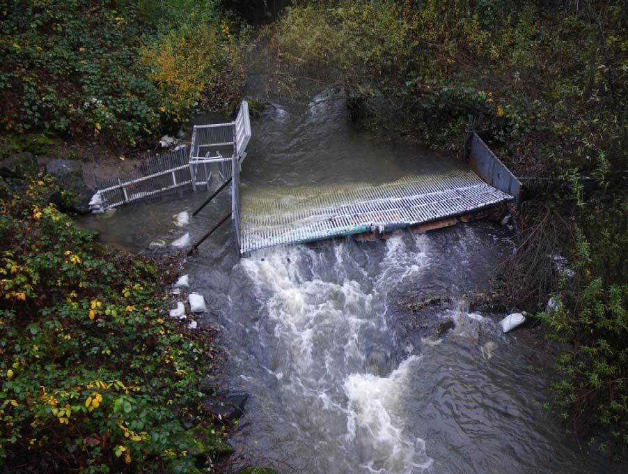 Adult trapping A resistance board weir and trap was operated on Mill Creek during the winter of 21-211 at river km 2.35 (Figure 33).