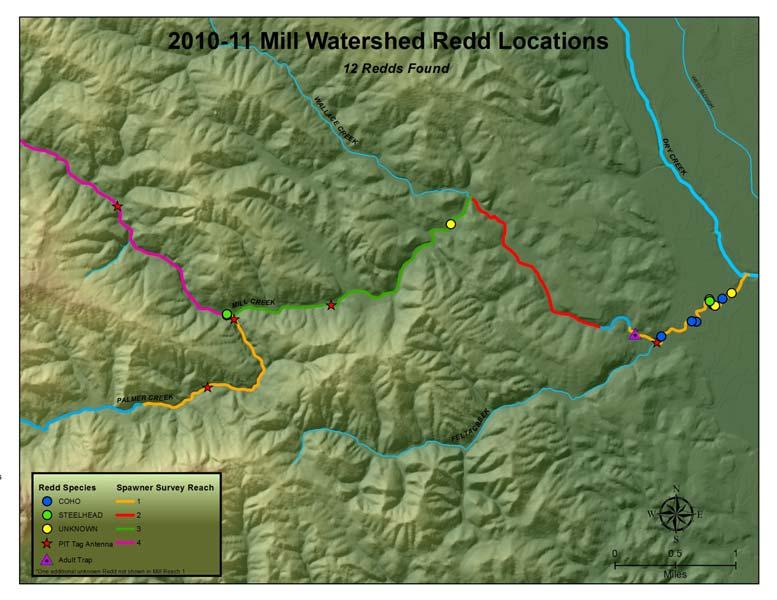 Figure 39. Mill Creek watershed spawner survey reaches and redd locations.