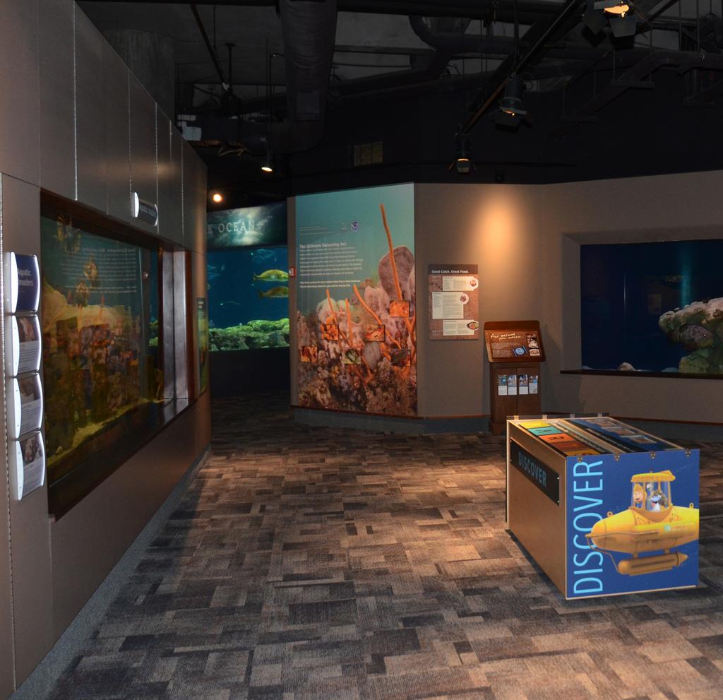 It s easy to get to the Coastal Zone! When you leave the Touch Tank, you can walk down a hall to the Coastal Zone.