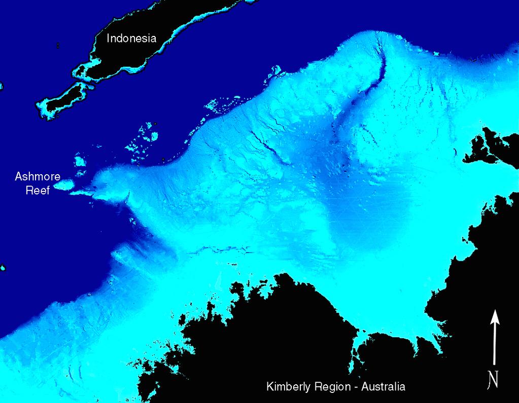 INTRODUCTION Ashmore Reef is large emergent reef system, approximately 227km 2 in total area, located on the edge of the continental shelf off the northwest Kimberley coastline (Figure 1).