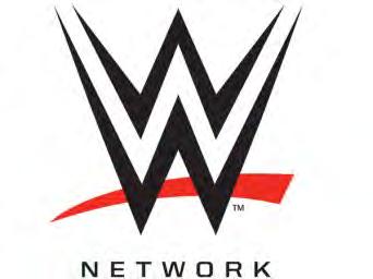 com attracts more than 13 million unique visitors per month WWE and Superstar Facebook pages have a combined total of over 446 million fans 33% of the audience is female 13 million Raw & SmackDown