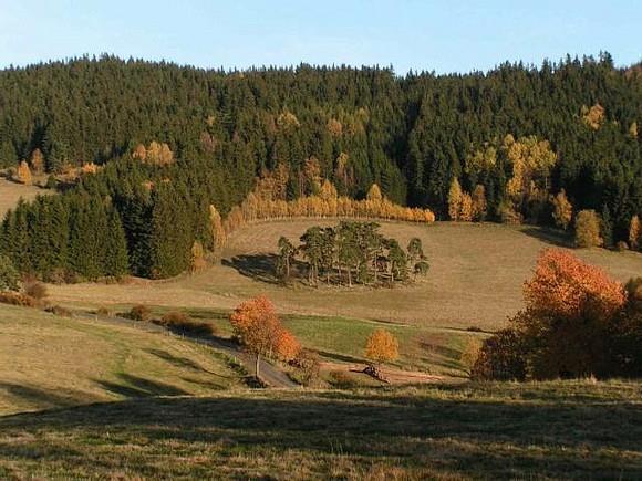 HUNTING GROUNDS The hunting ground has a total area of around 4000 ha free range in western Czech (near Karlovy Vary) with a various lie of the land: hilly and flat grounds covered with amazing