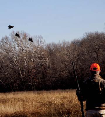 Last year we added four new twenty-eight feet pit blinds to West Lake for the shooting comfort of our Members.