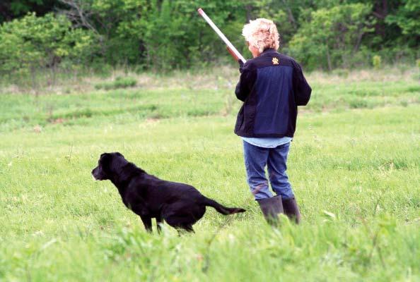 The Master s Is Here By Landon Crow At the end of September the AKC Master National Retriever Trials will be held at Flint Oak and everyone is getting excited.