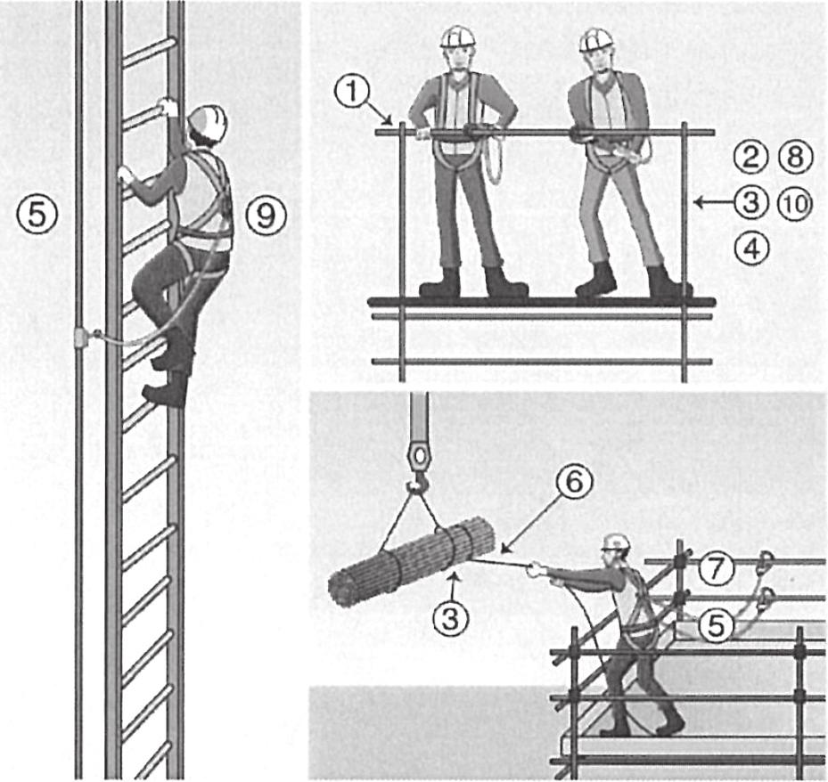 Ⅱ-16.Using safety belts Ⅲ Preventing Collapses and Cave-ins Ⅲ-1-1.Excavation work 1. Are your safety belt and lanyard undamaged? 2. Is your safety belt attached at the level of your hipbone? 3.