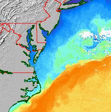 Climate and Atlantic Croaker Su F W Sp Su F Spawn on continental shelf late summer & fall Juveniles enter estuaries
