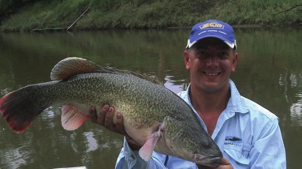 There has been no shortage of incredible fishing stories being told from the western rivers, situated in the southeast corner of Queensland, since the opening of the Murray Cod