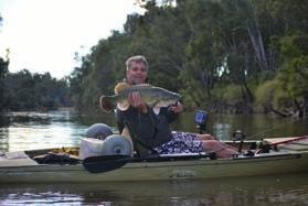 Being TT Lures medium range spinnerbait, the lure is most definitely suited for targeting Golden Perch and Murray Cod.