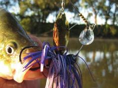 These lures are constructed using a heavy duty wire frame and equipped with a heavy gauge chemically sharpened hook and fitted with quality double silicone skirts to increase