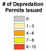 The process for permit issuance includes an on-site evaluation by an MDWFP officer to verify the occurrence of depredation.