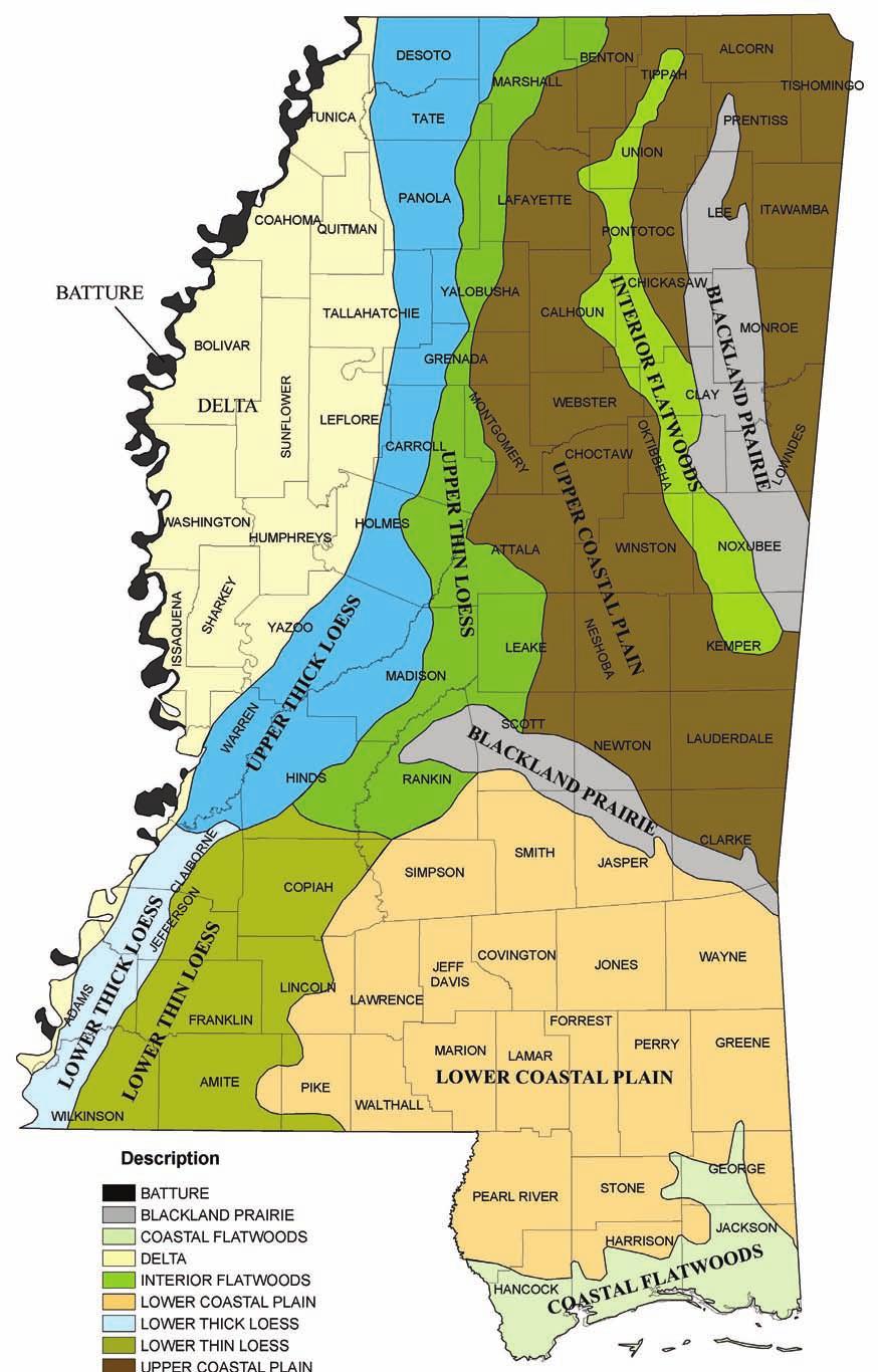 Mississippi Soil Resource Areas